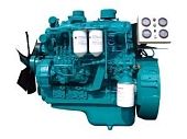 TSS Diesel Prof  TDY 55 4LT (более не производится - аналог Yuchai  YC4D90Z-D21) 005783